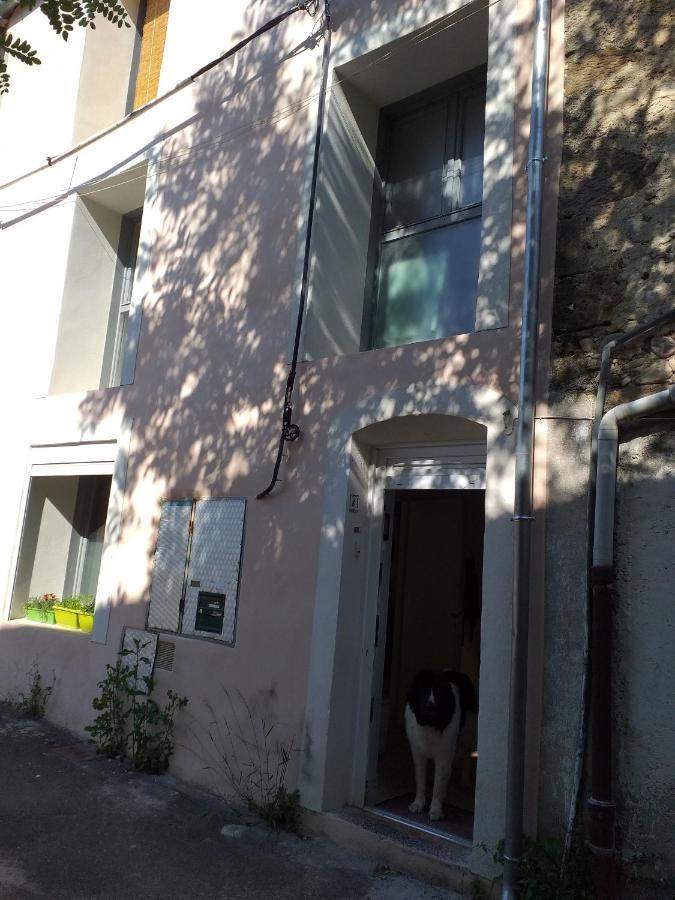 La Maison D Annick Διαμέρισμα Lodève Εξωτερικό φωτογραφία